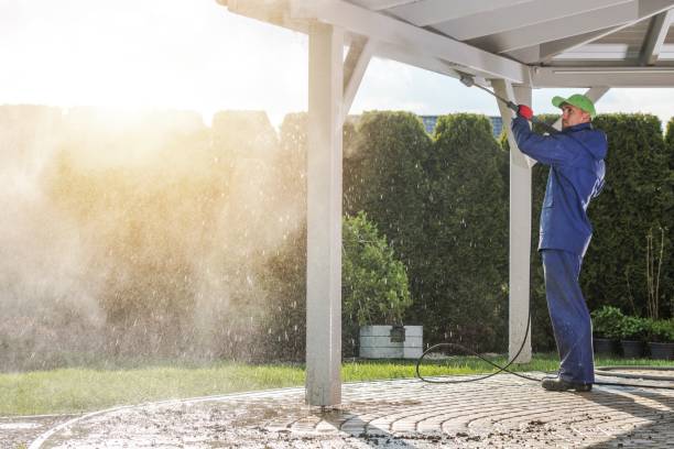 Best Dumpster Area Cleaning  in New Eagle, PA